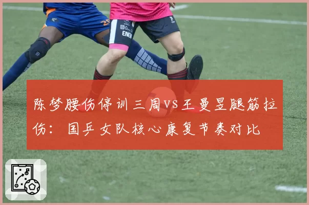 陈梦腰伤停训三周vs王曼昱腿筋拉伤：国乒女队核心康复节奏对比