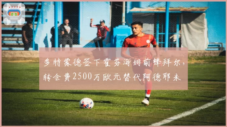 多特蒙德签下霍芬海姆前锋拜尔,转会费2500万欧元替代阿德耶米