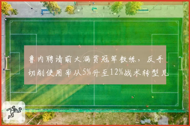 鲁内聘请前大满贯冠军教练，反手切削使用率从5%升至12%战术转型见效